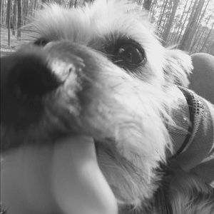 Meet your Posher, Kelli